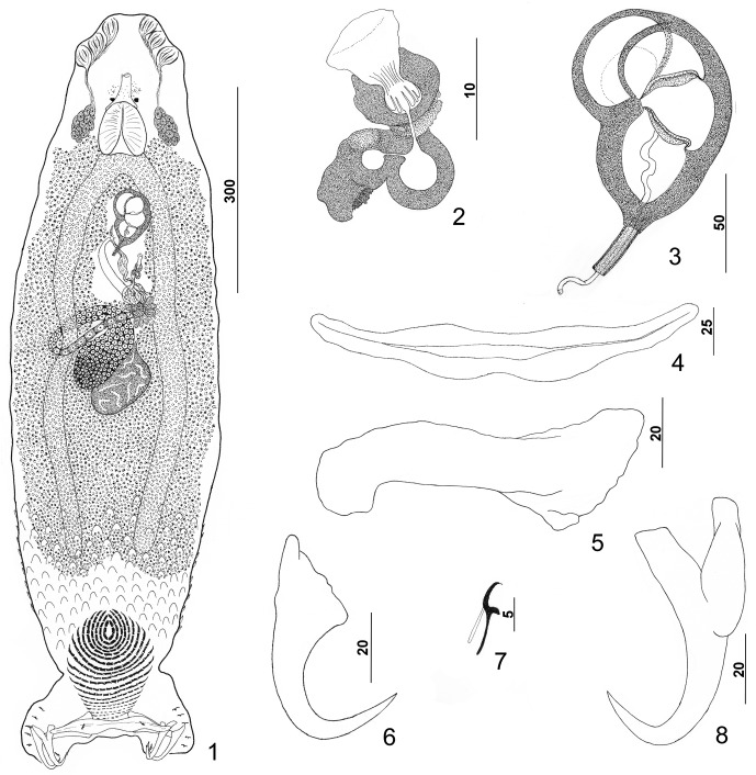 Figures 1–8.