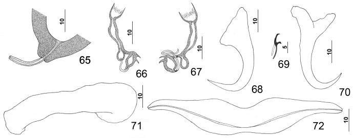 Figures 65–72.