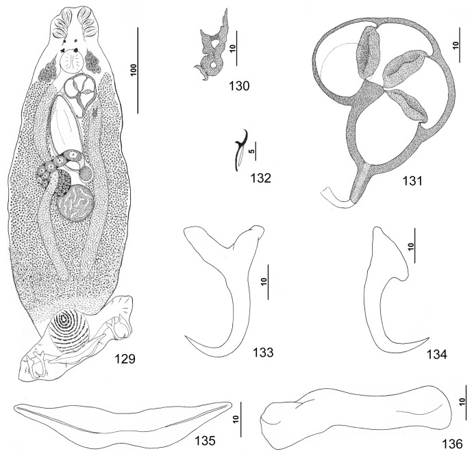 Figures 129–136.