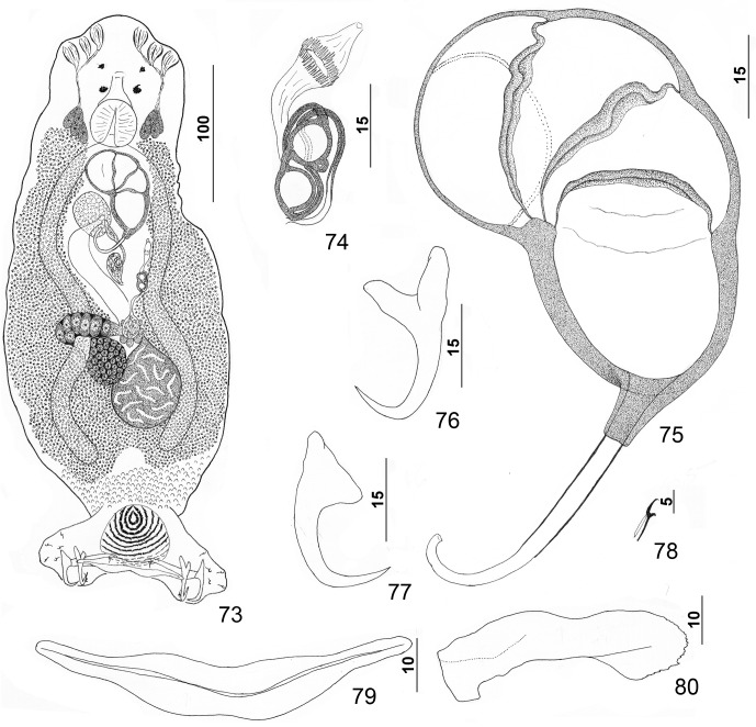 Figures 73–80.