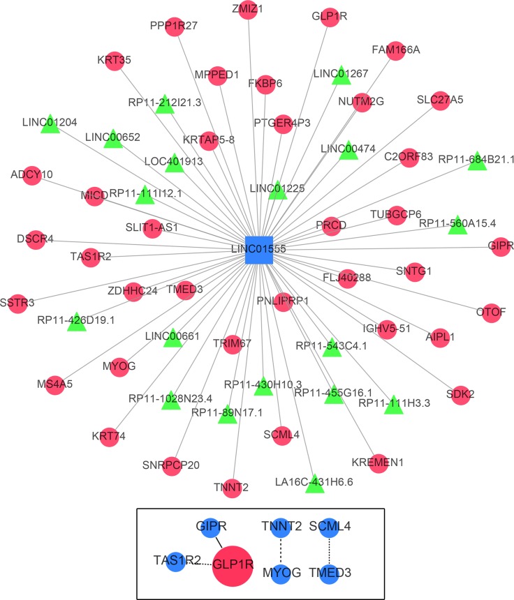 Figure 11