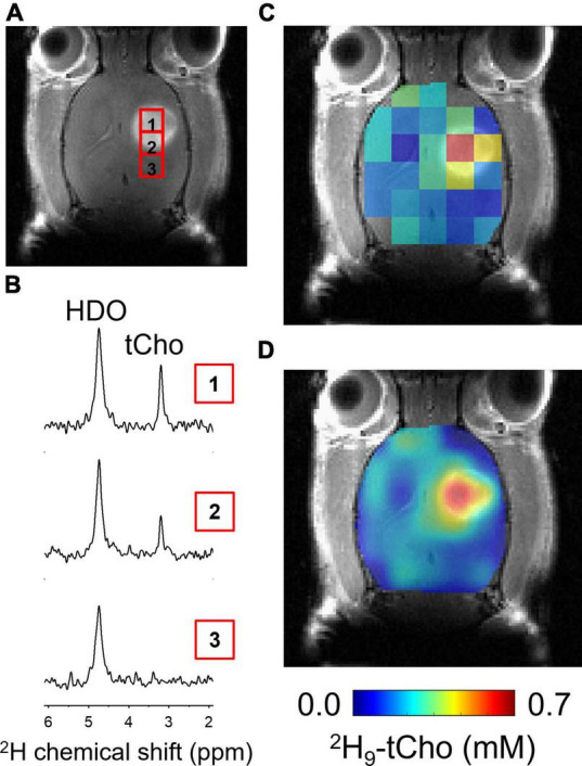 FIGURE 3