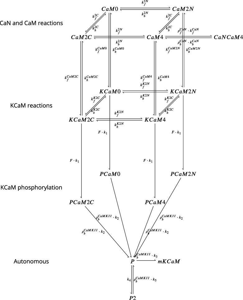 Figure 18.