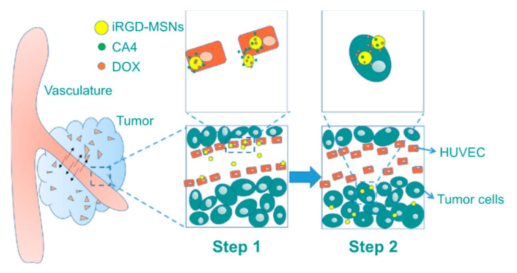 Figure 13