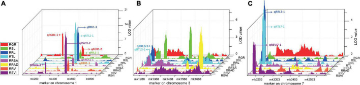 FIGURE 3