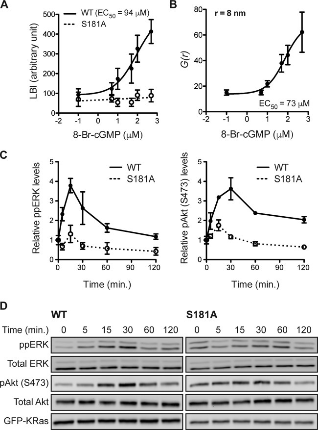 FIG 6