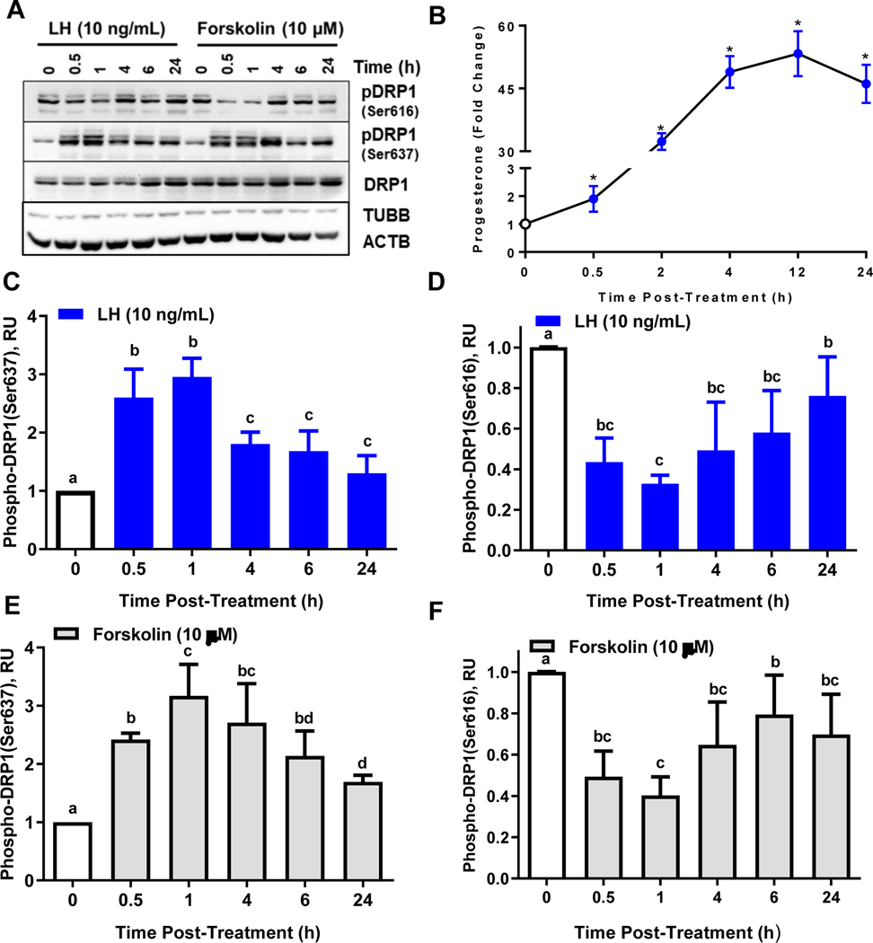 Figure 2: