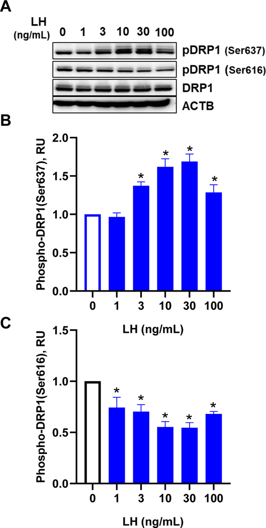 Figure 1.