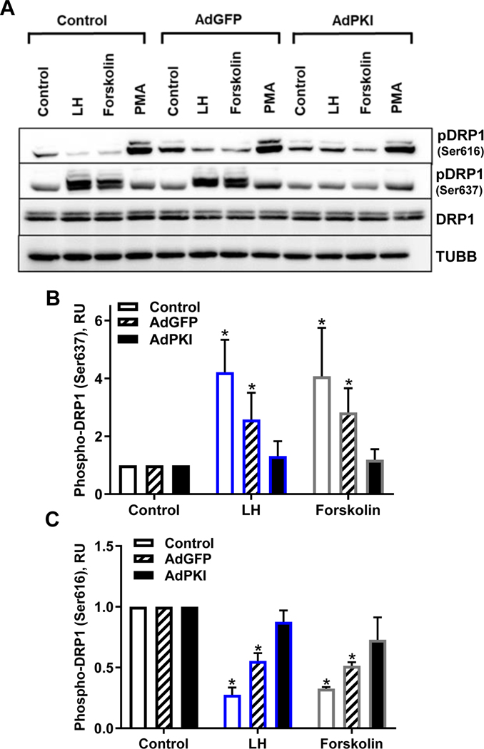 Figure 4: