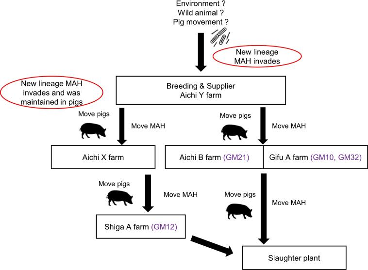 Fig. 4