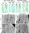 Figure 5-6804