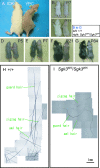 Figure 1-6804