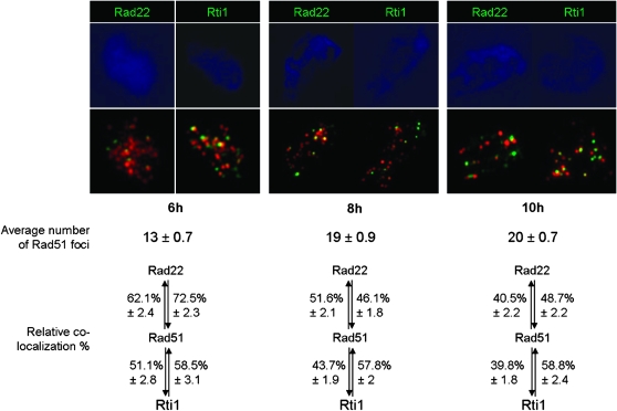 Figure 3.—