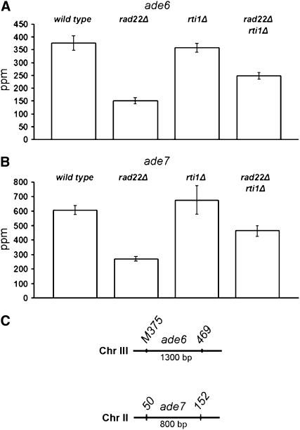 Figure 7.—