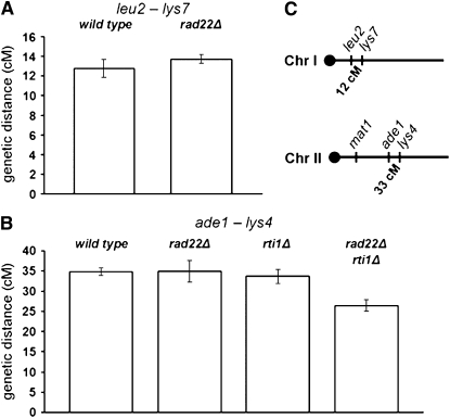 Figure 6.—