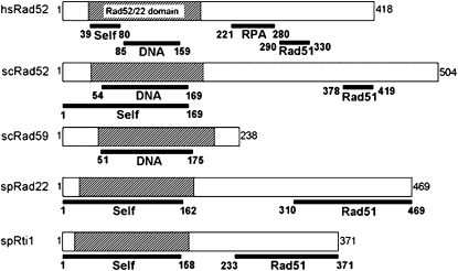 Figure 1.—