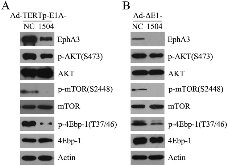 Fig 7