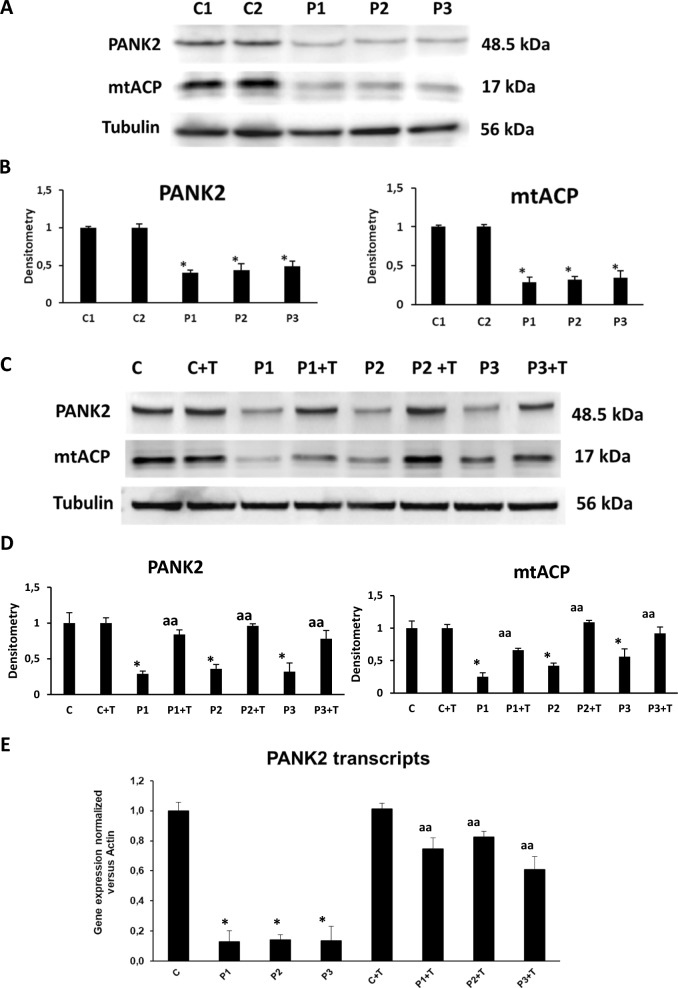 Fig. 4