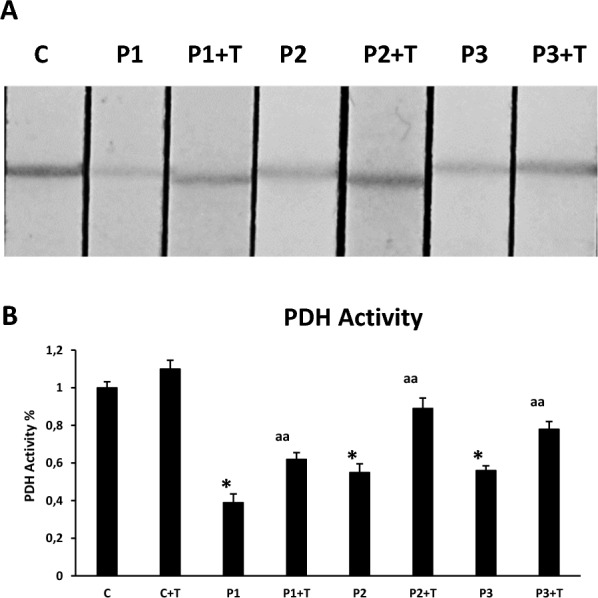 Fig. 6