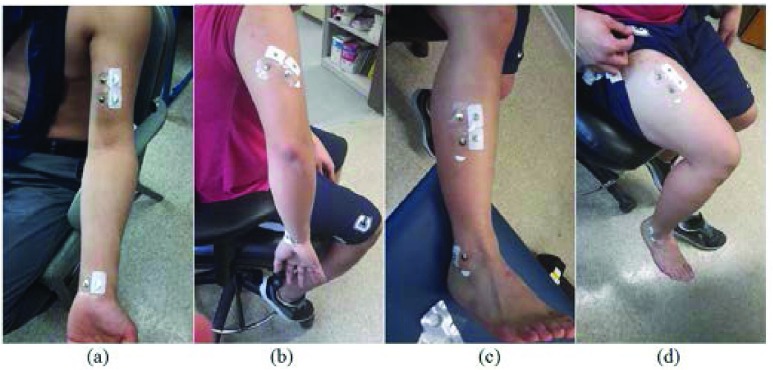 FIGURE 2.