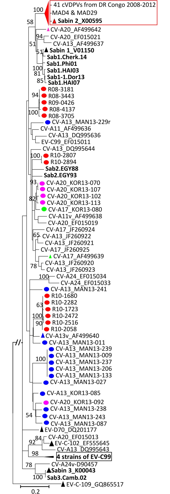 Fig 5