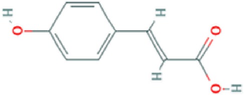 graphic file with name fphar-11-00171-g007.jpg