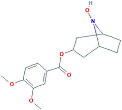 graphic file with name fphar-11-00171-g004.jpg