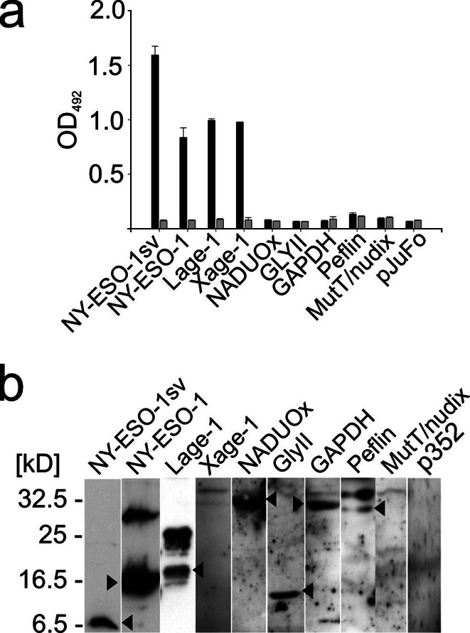 Fig. 3