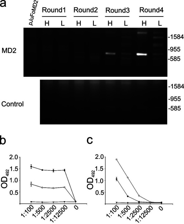 Fig. 2