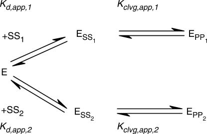 Scheme 3.