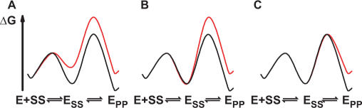 Scheme 4.