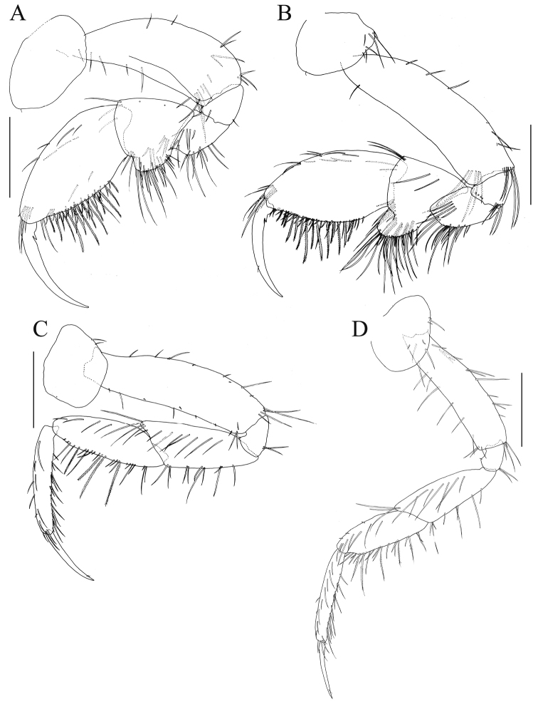 Figure 3.