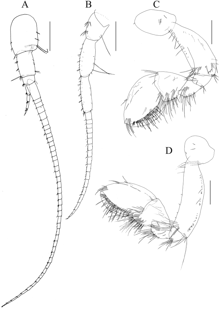 Figure 6.