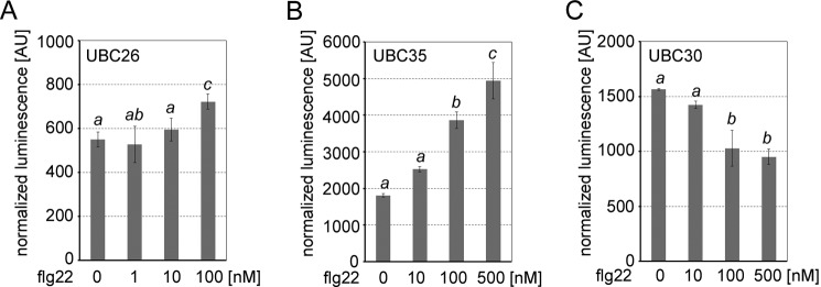 Figure 5.