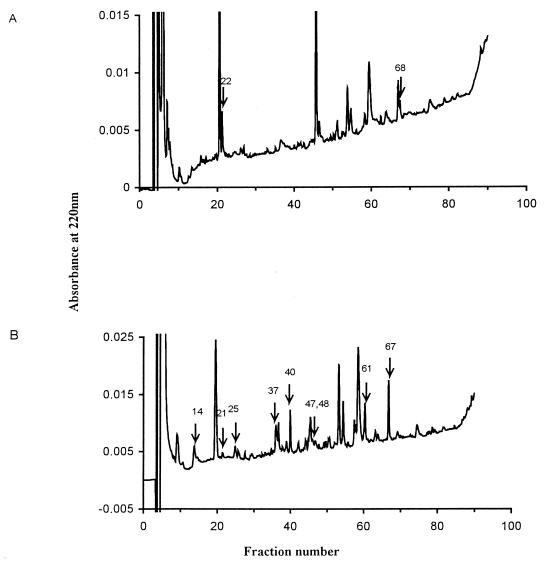 FIG. 5