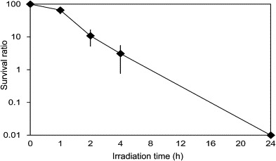 Fig. 8