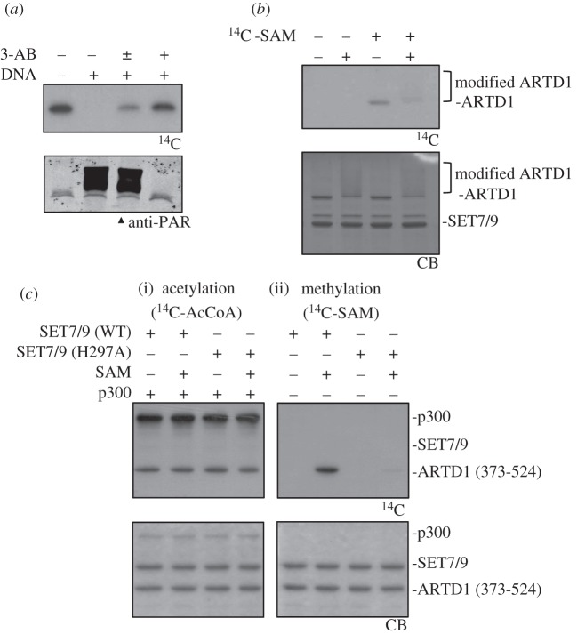 Figure 2.