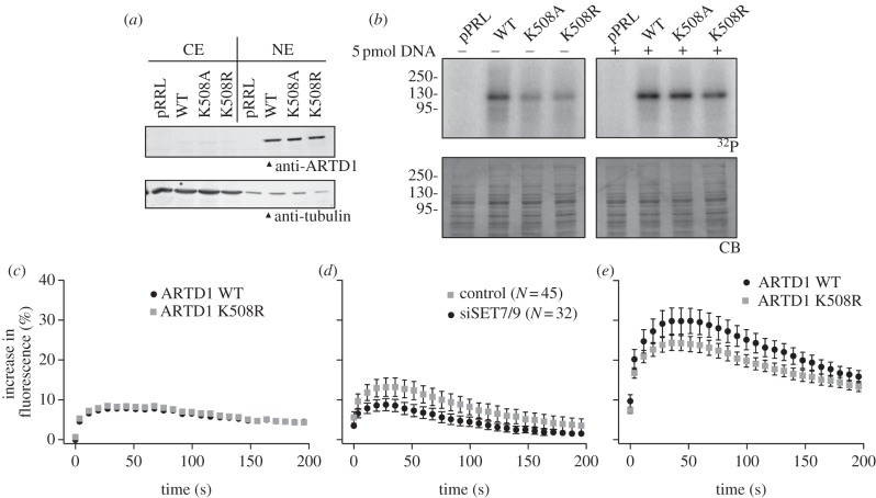 Figure 4.