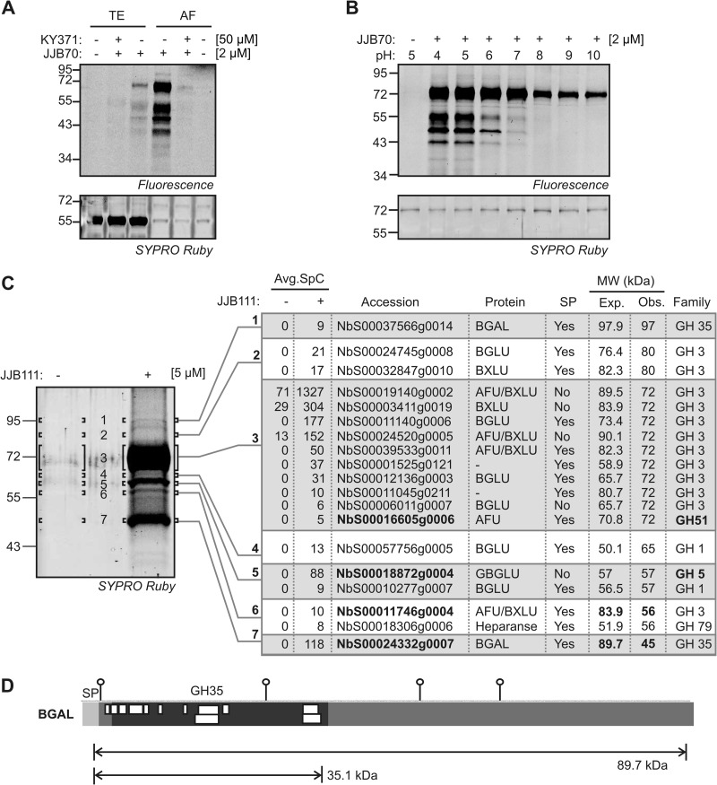 Fig. 6.