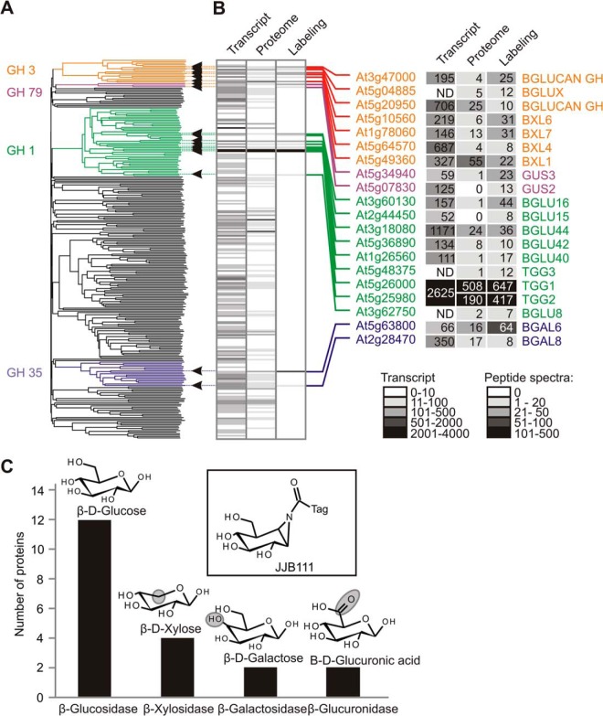 Fig. 4.