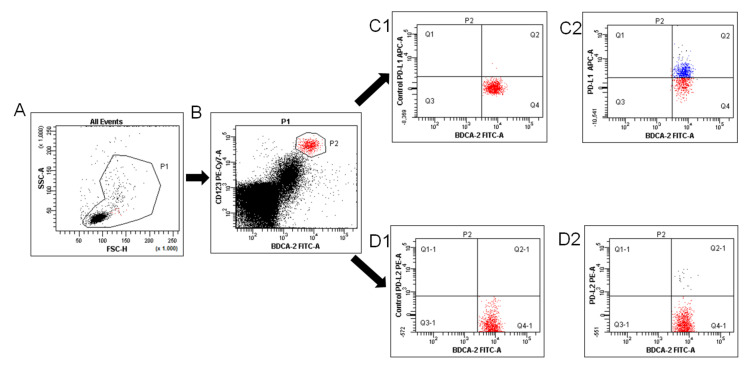 Figure 13