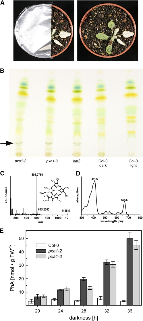 Figure 6.