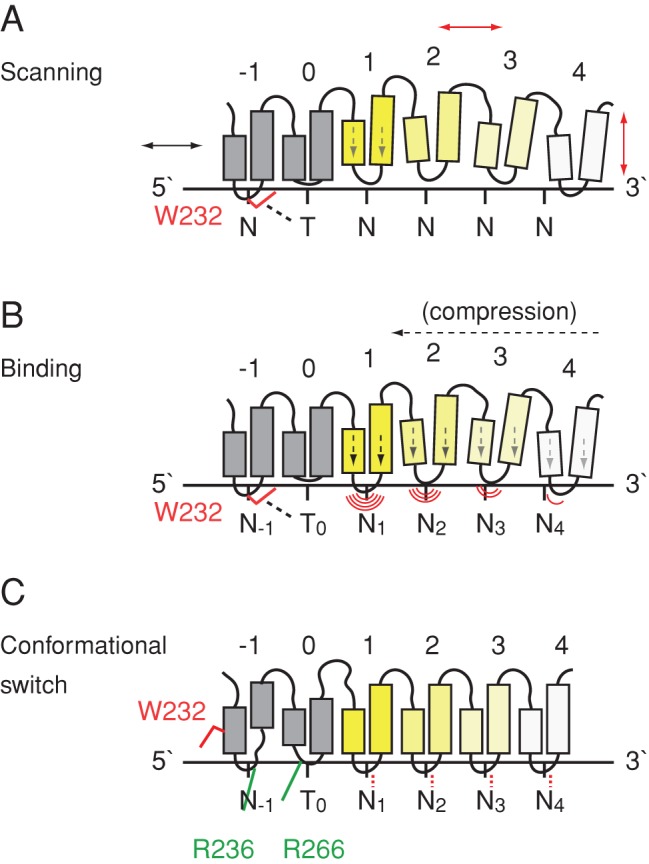 Figure 7.