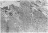 254