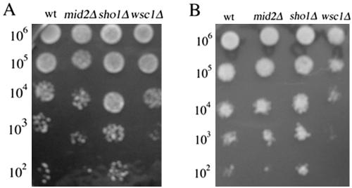 Figure 12.