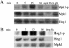 Figure 10.