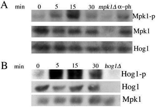 Figure 10.