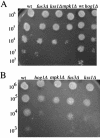 Figure 6.