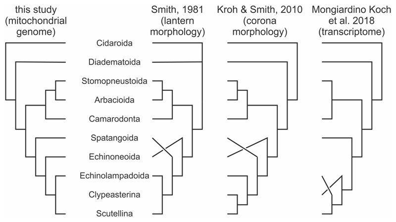 Fig. 5