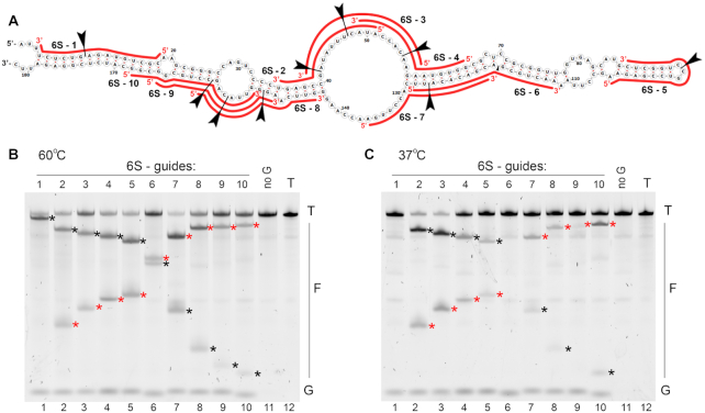 Figure 6.